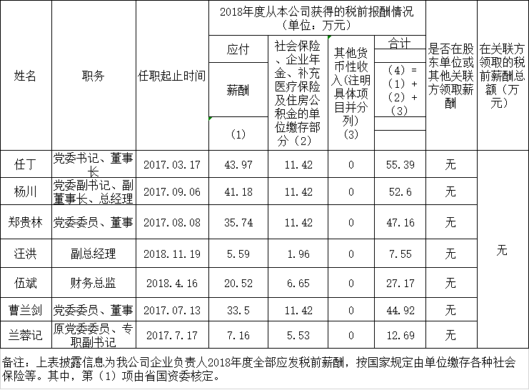 必威网页官方入口（中国）必威网页官方入口（中国）集团有限公司有限公司负责人2018年度薪酬情况